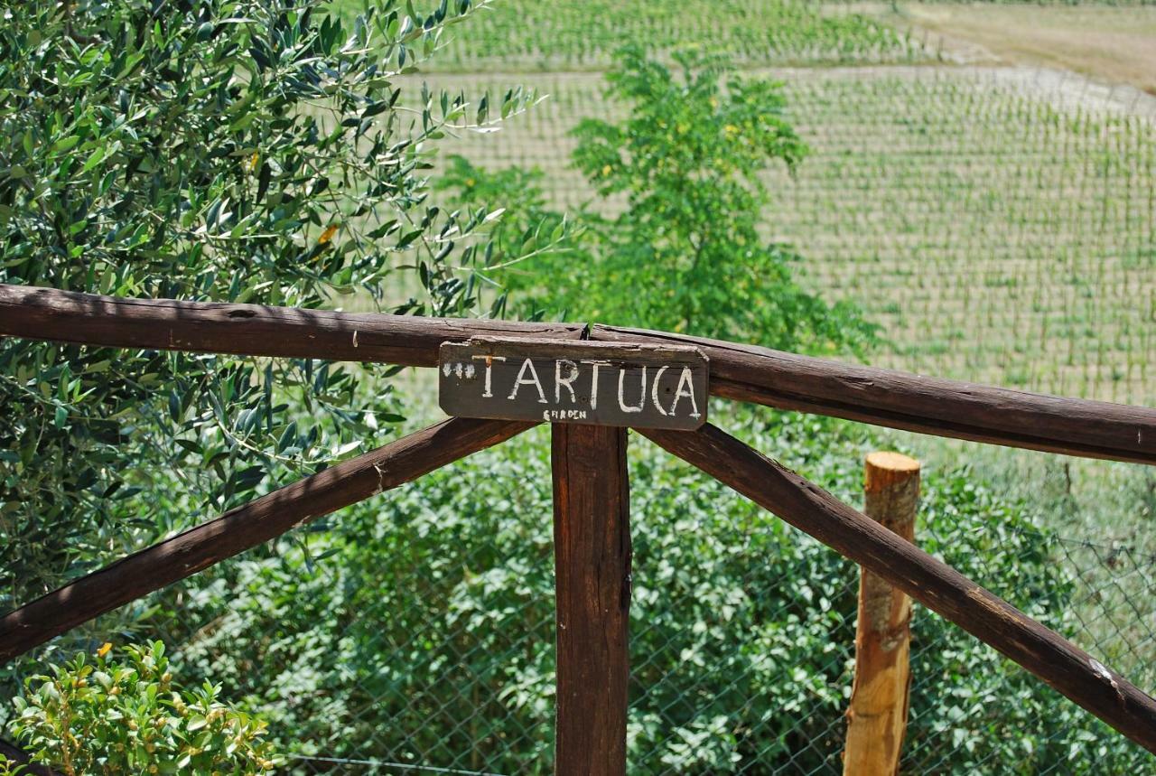Podere Remignoli Apartment San Gimignano Bagian luar foto